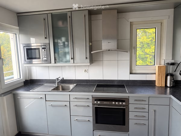 Dachwohnung in Zürich Oerlikon in grüner Lage 2