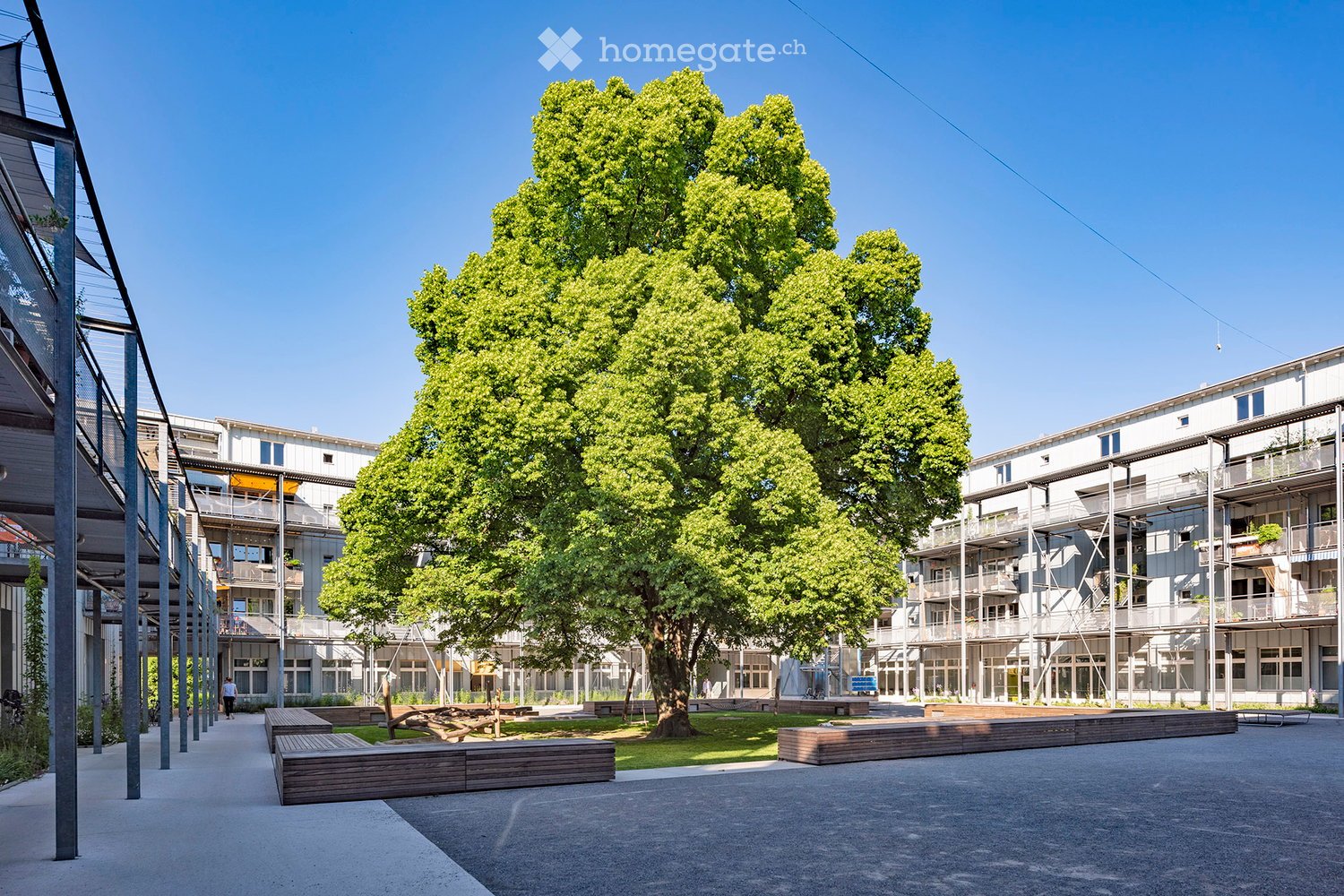 residential complex with modern architecture, large tree, wooden benches, concrete walkways