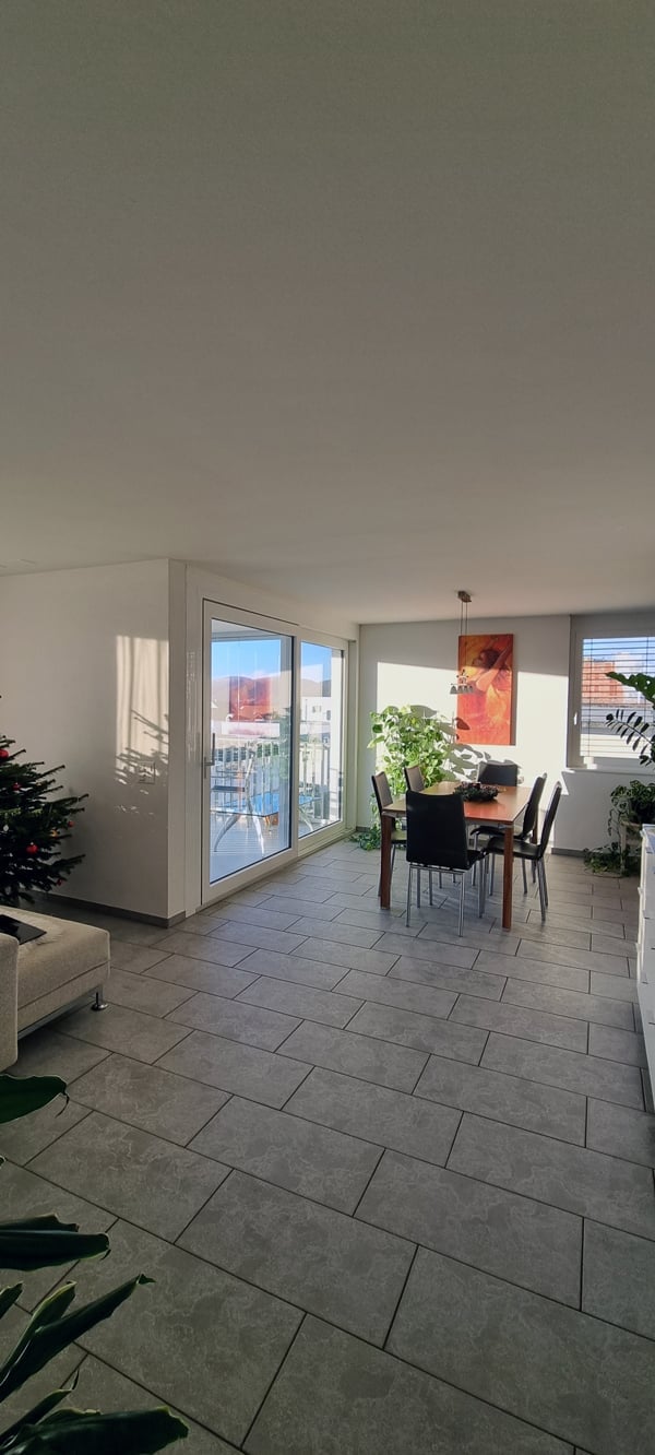 Open floor plan, sliding doors leading to balcony, dining table, chairs, plant, white walls, gray floor