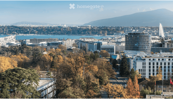 Élégant 2,5 pièces meublé avec piscine panoramique - Genève Nations 12