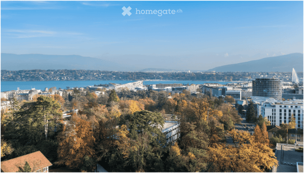 Élégant 2,5 pièces meublé avec piscine panoramique - Genève Nations 11