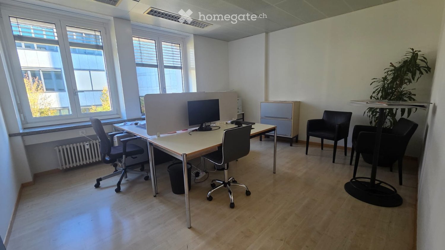Office space with a desk, chairs, a screen, a plant, and a cabinet.