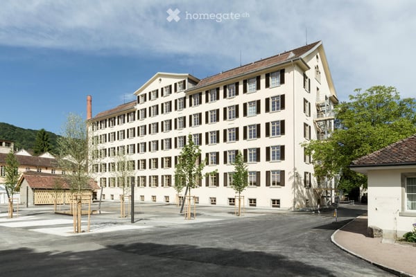 Helle 3.5-Zimmer-Loftwohnung auf zwei Etagen in Freienstein – ab 01.12.2026