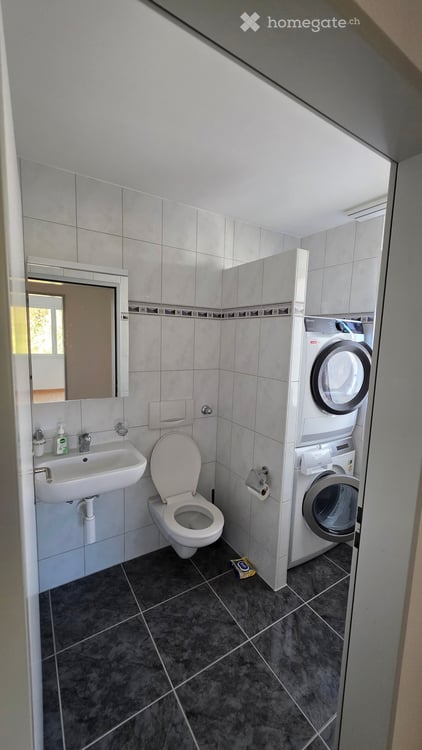 Helle 4.5 Zimmer-Wohnung in Wülflingen 15