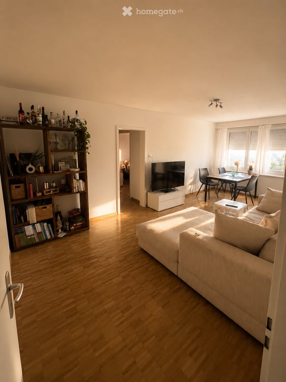 Dachwohnung in Zürich 5