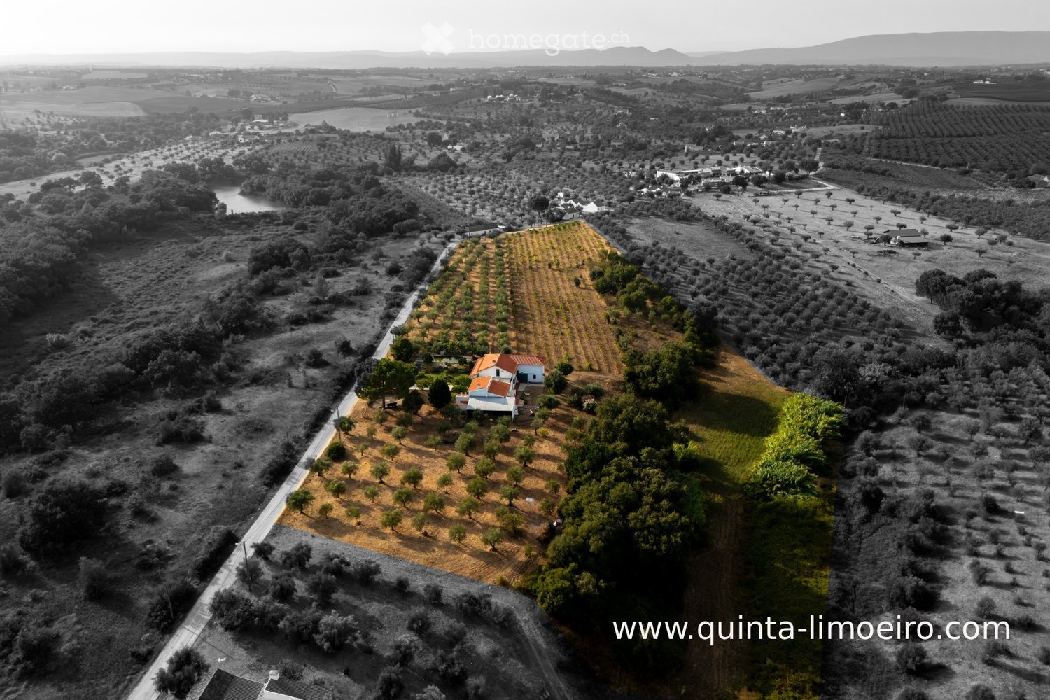 Aerial view of a rural landscape featuring a house with a red-tiled roof, surrounded by olive groves, fields, and scattered trees. The area includes a road leading to the house and distant hills in the background.