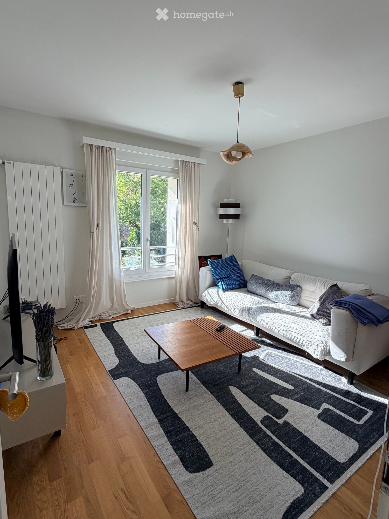 Bright living room with white walls, wooden flooring, and large windows. Features a white sofa with blue and grey pillows, a wooden coffee table, a television, and a floor lamp.