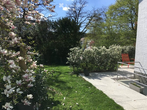 Charmantes 6.5-Zimmer-Einfamilienhaus mit grossem Garten an zentraler Lage zu vermieten 3