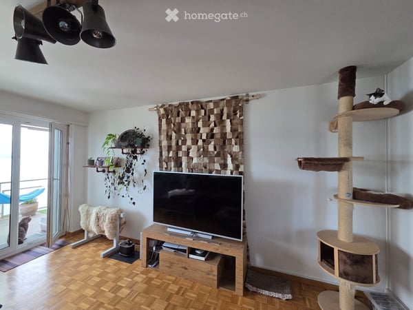 4.5-Zimmer-Wohnung mit traumhafter Seesicht in Richterswil - Familienfreundlich 4