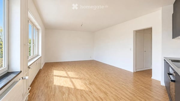 Appartement rénové de 1 pièce – 30 m² – Wi-Fi inclus 1