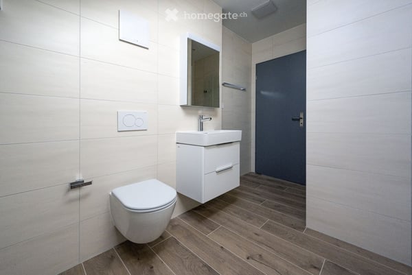 Magnifique Loft sur la colline du Mail à Neuchâtel 5