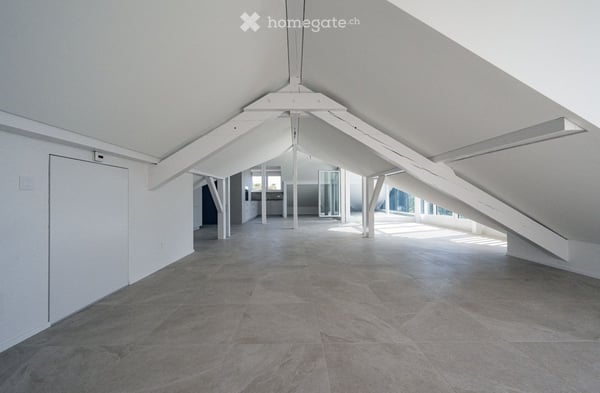 Magnifique Loft sur la colline du Mail à Neuchâtel 6