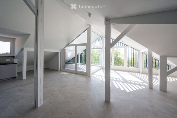 Magnifique Loft sur la colline du Mail à Neuchâtel 7