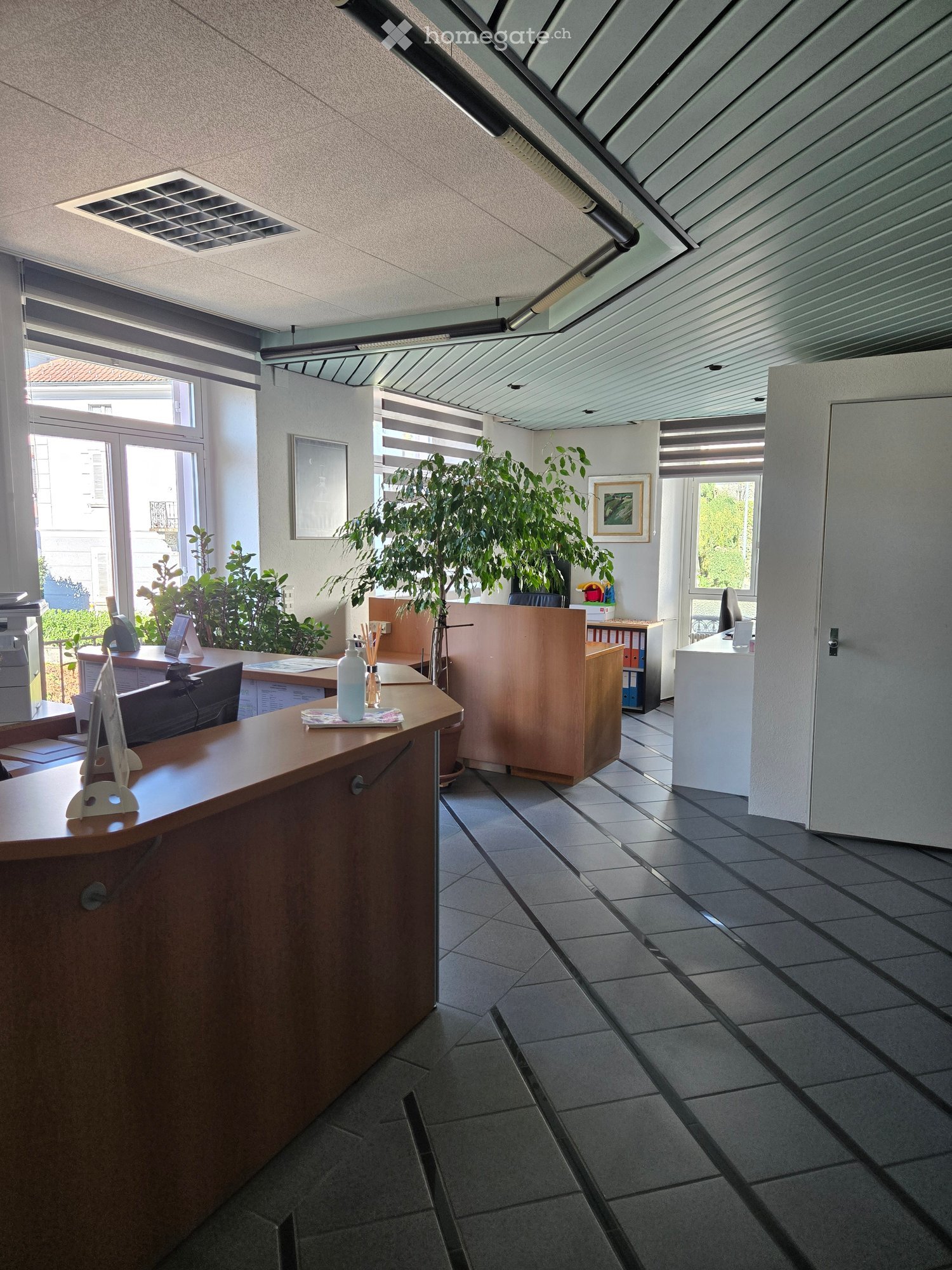 Office reception area with a wooden desk, chairs, a screen, printer, and potted plants.