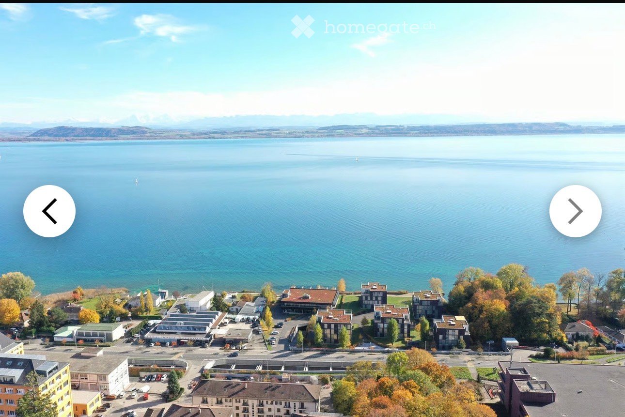 Aerial view of a residential area near a large body of water, with multiple buildings, trees, and a clear view of the lake and distant mountains.