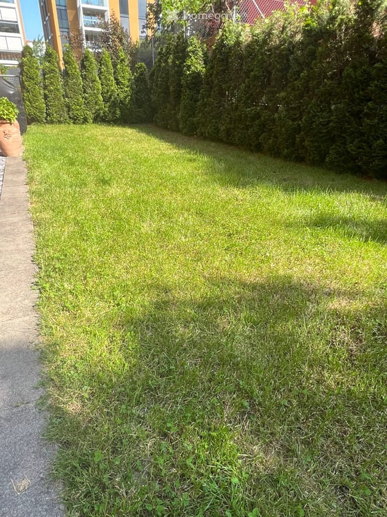 Moderne 4.5-Zimmerwohnung mit grosszügigem Garten und moderner Ausstattung in Zürich-Affoltern 4