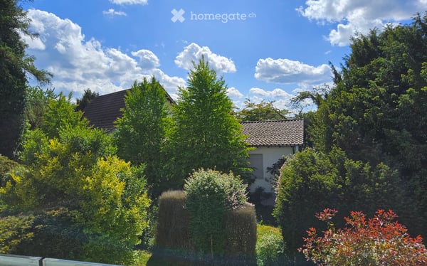 Stilvolles 5½-Zimmer-Stadthaus mit Aussicht, Garten und viel Privatsphäre in Frauenfeld 3