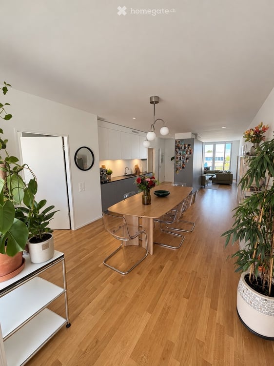 Helle Wohnung in Kriens, direkt am Freigleis, mit grossem Balkon und Aussicht auf den Pilatus 2