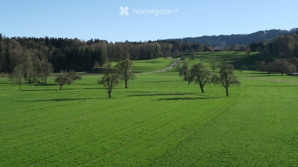 Helle 5-Zi-Wohnung angrenzend an Landwirtschaftszone mit verglastem Balkon in Mönchaltorf 15