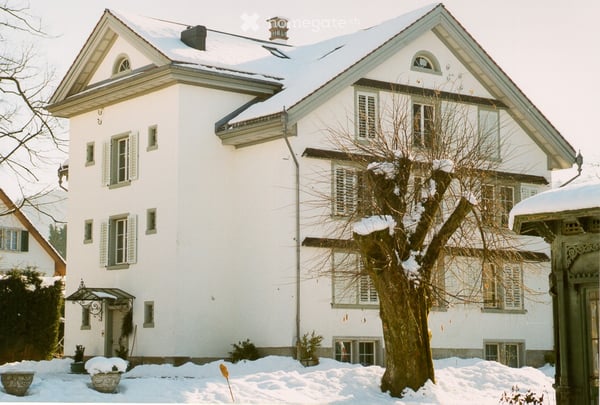 4-Zimmer-Hochparterrewohnung in historischer Villa mit grossem Garten 10