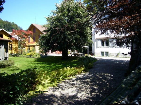 4-Zimmer-Hochparterrewohnung in historischer Villa mit grossem Garten 2