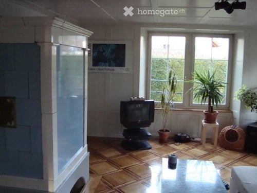 4-Zimmer-Hochparterrewohnung in historischer Villa mit grossem Garten 7