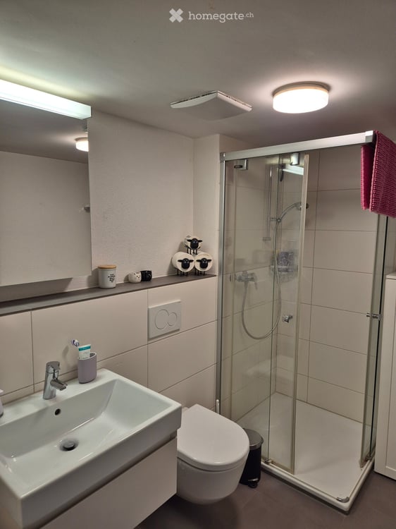 Dachwohnung in Auw