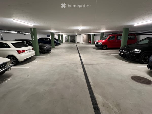 3.5 Zimmer-Wohnung in St. Gallen, Riethüsli 24