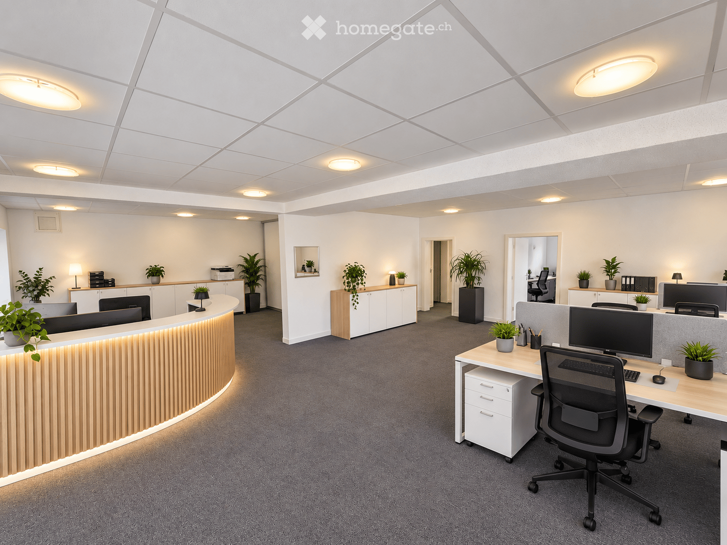 Modern office space with desks, chairs, computer monitors, keyboards, mice, potted plants, cabinets, and printers.