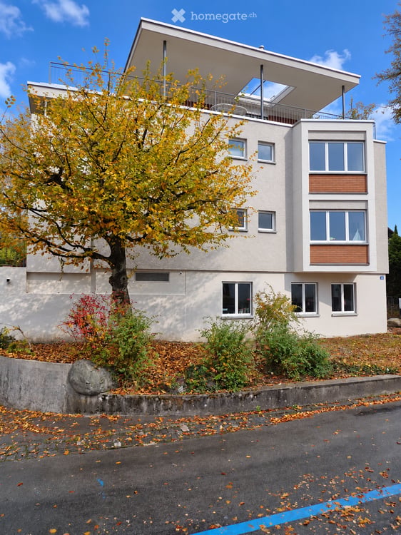 Attraktive 4.5-Zimmerwohnung in Zürich – befristet bis Ende Mai 2027 1