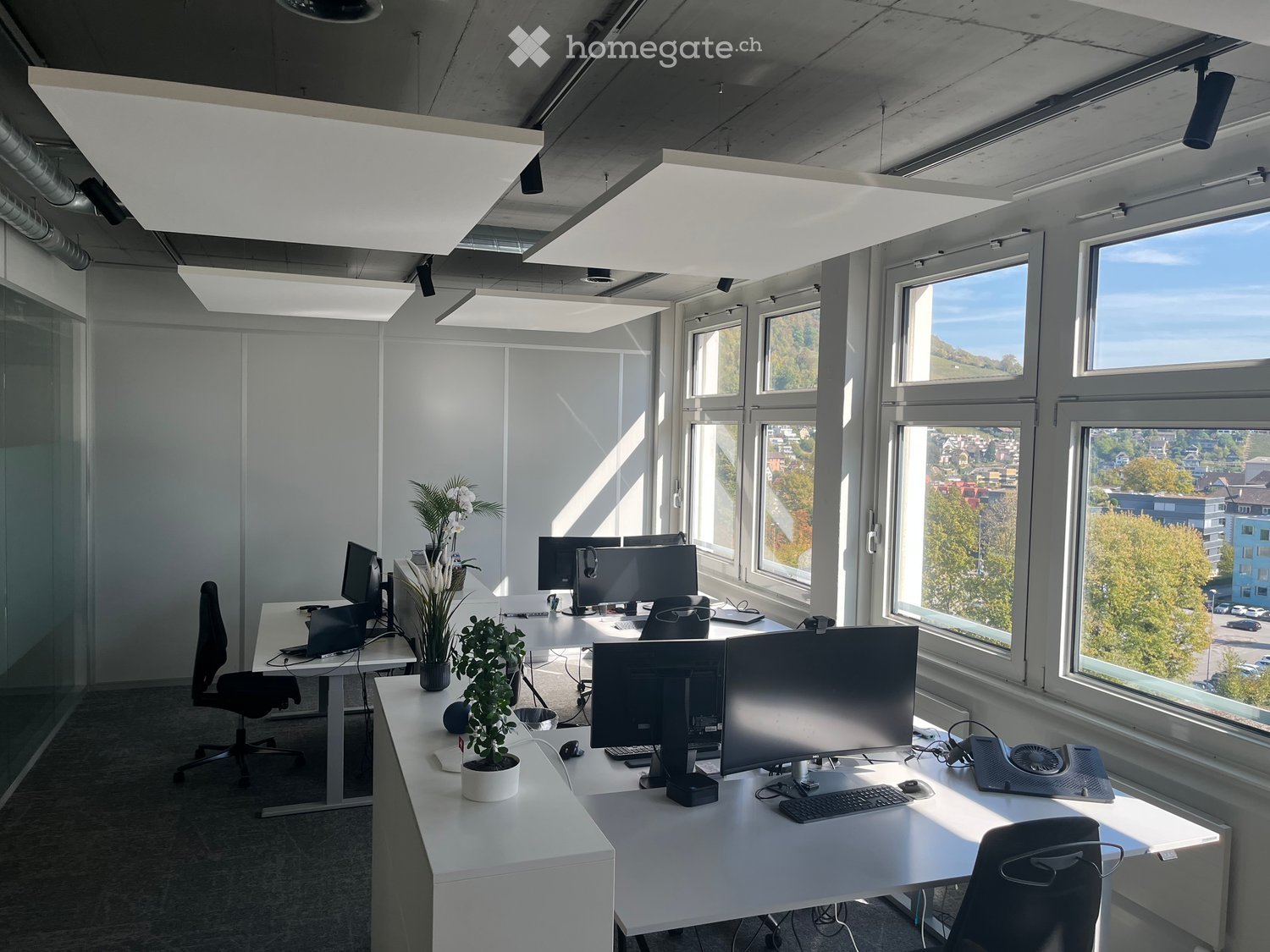 Modern office space with large windows, desks, chairs, computers, keyboards, mice, and small potted plants.