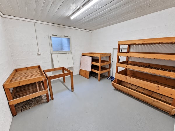 Renoviertes 4.5 Zimmer Doppeleinfamilienhaus mit Garten 21
