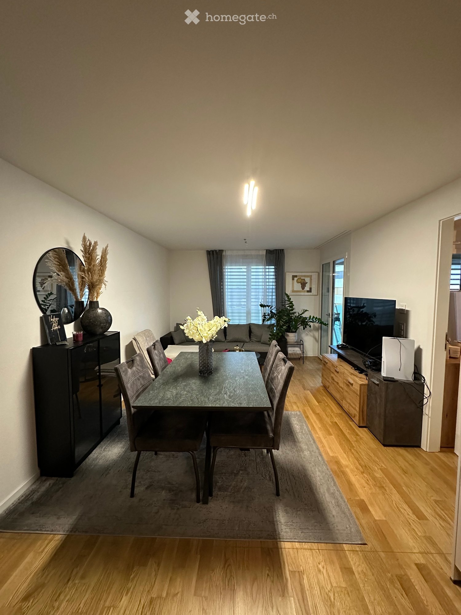Modern dining area with a glass dining table, six chairs, a grey sofa, a television, a mirror, decorative vases, and plants.