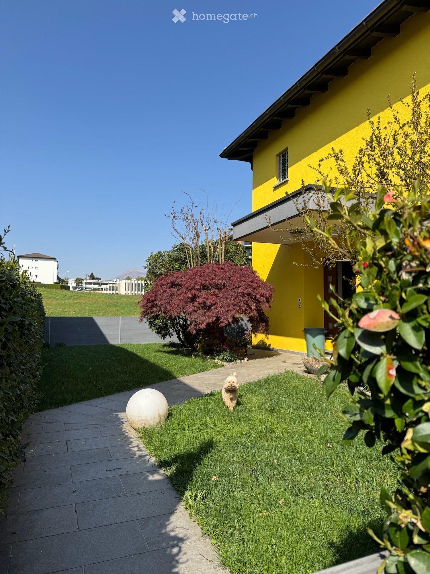 Well-maintained garden with a small dog, a large spherical ornament, and a pathway leading to a yellow house.