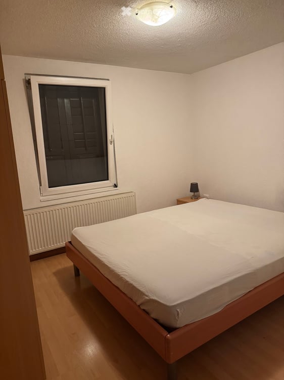 MÖBLIERT 1,5 Z. Wohnung in Widnau Zentrum 3