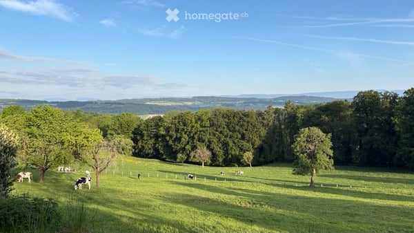 Magnifique ferme rénovée avec jardin privatif - Proche de Romont 4