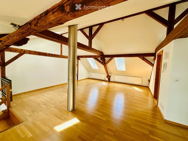 Loft-Dachwohnung in Basel 4