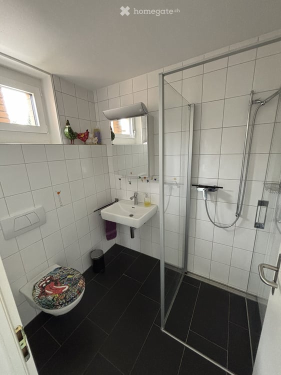 Modernes, lichtdurchflutetes Einfamilienhaus in Birrhard 19