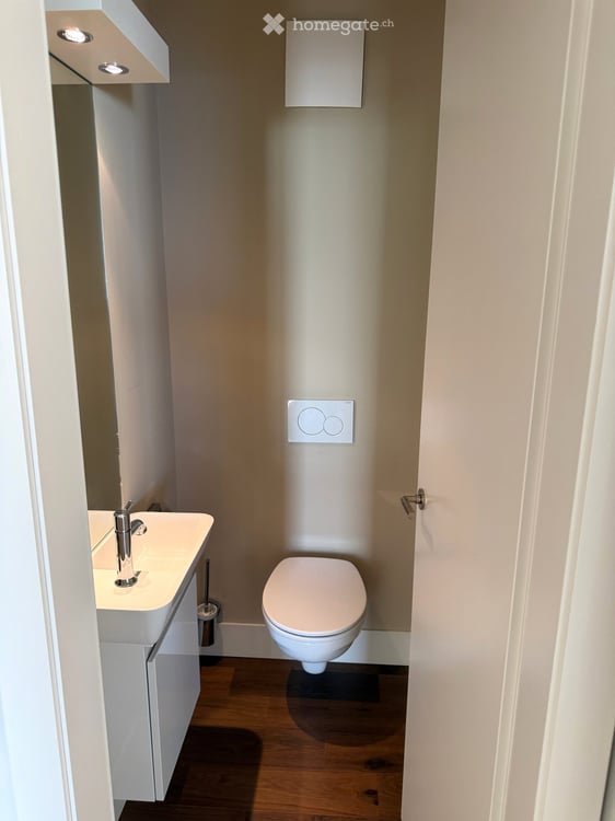 Furnished dwelling in Lutry 61
