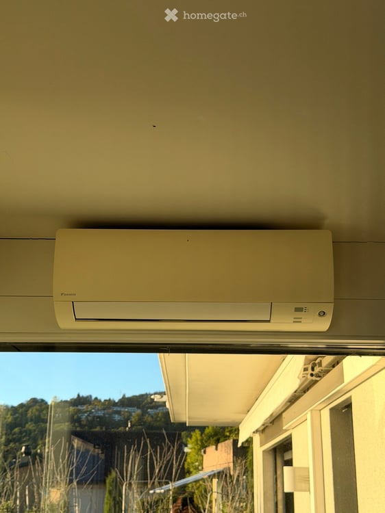 Furnished dwelling in Lutry 24