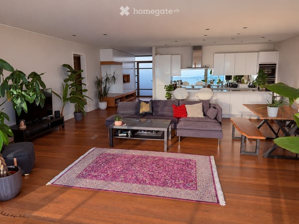 Furnished dwelling in Lutry 15