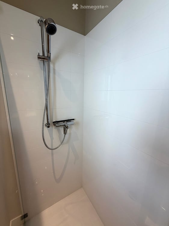 Furnished dwelling in Lutry 56