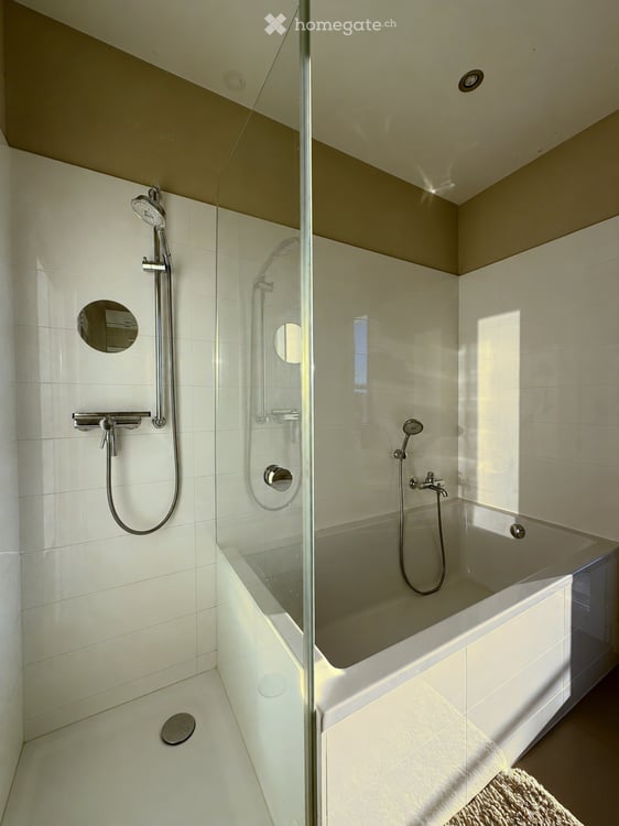 Furnished dwelling in Lutry 59