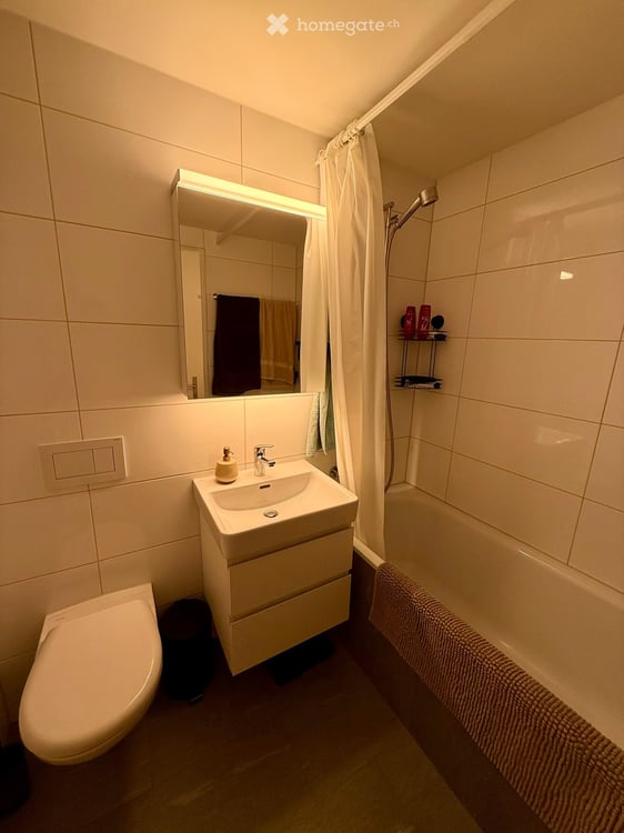 2 Zi Wohnung in Zürich zur Untermiete Dez-April 3