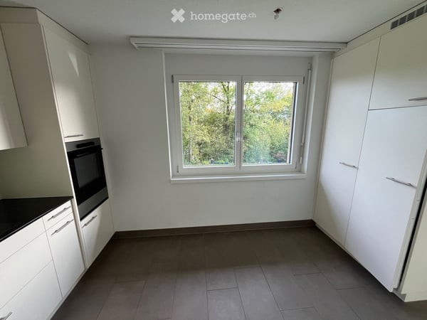 Schöne renovierte 4½-Zimmerwohnung im beliebten Emmer Kapf-Quartier 5