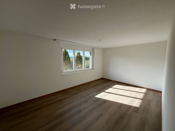 Schöne renovierte 4½-Zimmerwohnung im beliebten Emmer Kapf-Quartier 6
