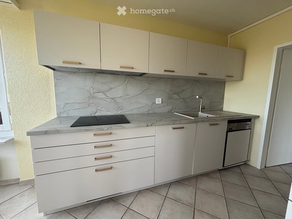 Frisch renovierte 4.5-Zimmer-Wohnung mit traumhafter Aussicht und grosser Dachterrasse in Reinach BL 14