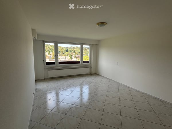 Frisch renovierte 4.5-Zimmer-Wohnung mit traumhafter Aussicht und grosser Dachterrasse in Reinach BL 16