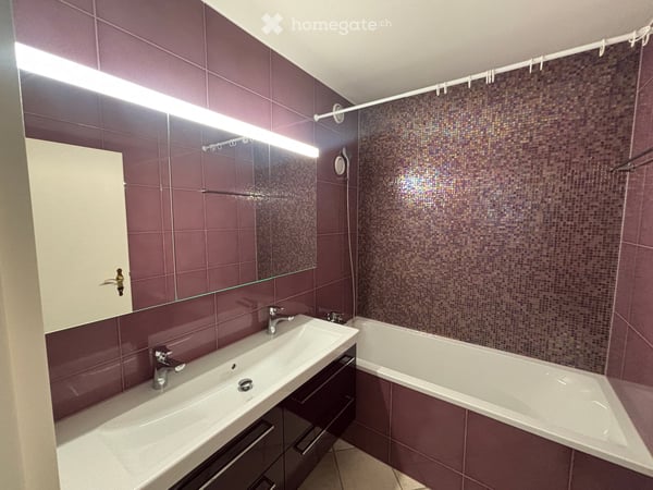 Frisch renovierte 4.5-Zimmer-Wohnung mit traumhafter Aussicht und grosser Dachterrasse in Reinach BL 8