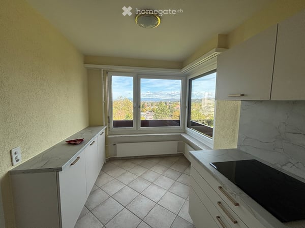 Frisch renovierte 4.5-Zimmer-Wohnung mit traumhafter Aussicht und grosser Dachterrasse in Reinach BL 12